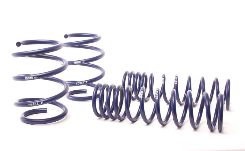 H&R 96-03 BMW 540i E39 Race Spring (Non Touring & w/o Sport Susp.) - DTX Performance