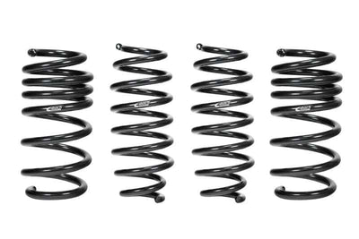 Eibach Pro-Kit for 17-18 Tesla 3 Long Range (RWD) 1.2in Front & Rear performance suspension springs from DTX Performance