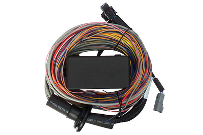 Haltech Elite 750 Universal Wire-In Harness - 2.5m for performance upgrades from DTX Performance