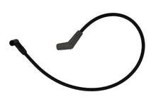 Load image into Gallery viewer, Photo - Unmounted