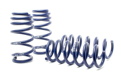 H&R 17-22 Audi R8 V10 Sport Spring Performance Car Parts