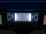 Raxiom 04-14 Ford F-150 LED License Plate Lighting- White