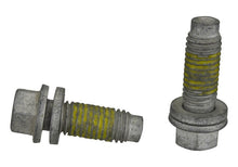 Load image into Gallery viewer, Photo - Unmounted