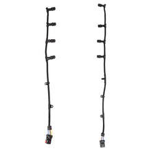 Load image into Gallery viewer, Photo - Primary