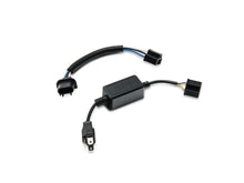 Load image into Gallery viewer, Photo - Close Up