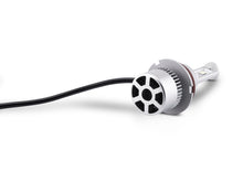 Load image into Gallery viewer, Photo - Close Up