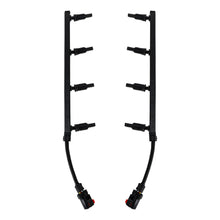 Load image into Gallery viewer, Photo - Primary