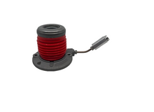 Load image into Gallery viewer, Photo - Primary