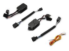 Load image into Gallery viewer, Photo - Close Up