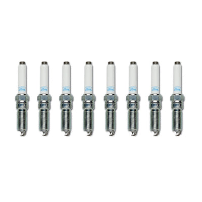 Ford Racing 21-25 F-150 5.0L Coyote Cold Spark Plug