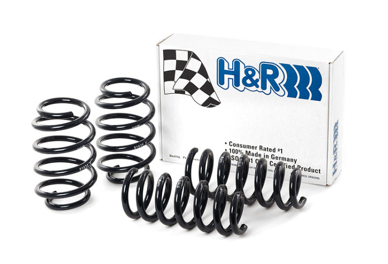 H&R 09-19 Ford Flex (2WD/AWD) Sport Spring - DTX Performance