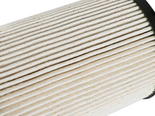 Load image into Gallery viewer, Photo - Close Up