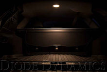 Load image into Gallery viewer, Diode Dynamics 921 LED Bulb HP36 LED - Cool - White (Single)