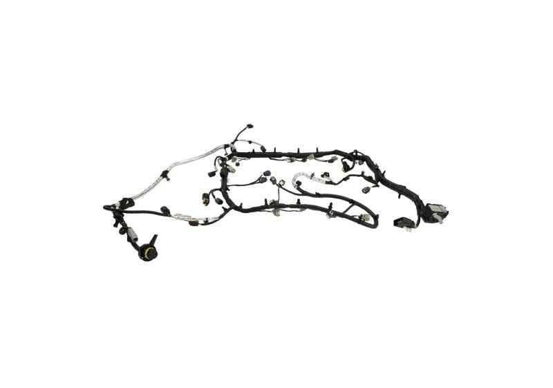 Ford Racing 5.0L Coyote Engine Harness for Automatic Transmission