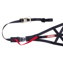 Load image into Gallery viewer, RaceQuip Black SFI 37.1 Side Roll Cage Net