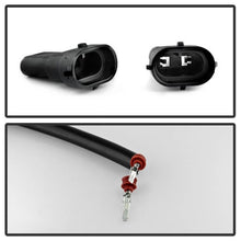 Load image into Gallery viewer, Photo - Unmounted