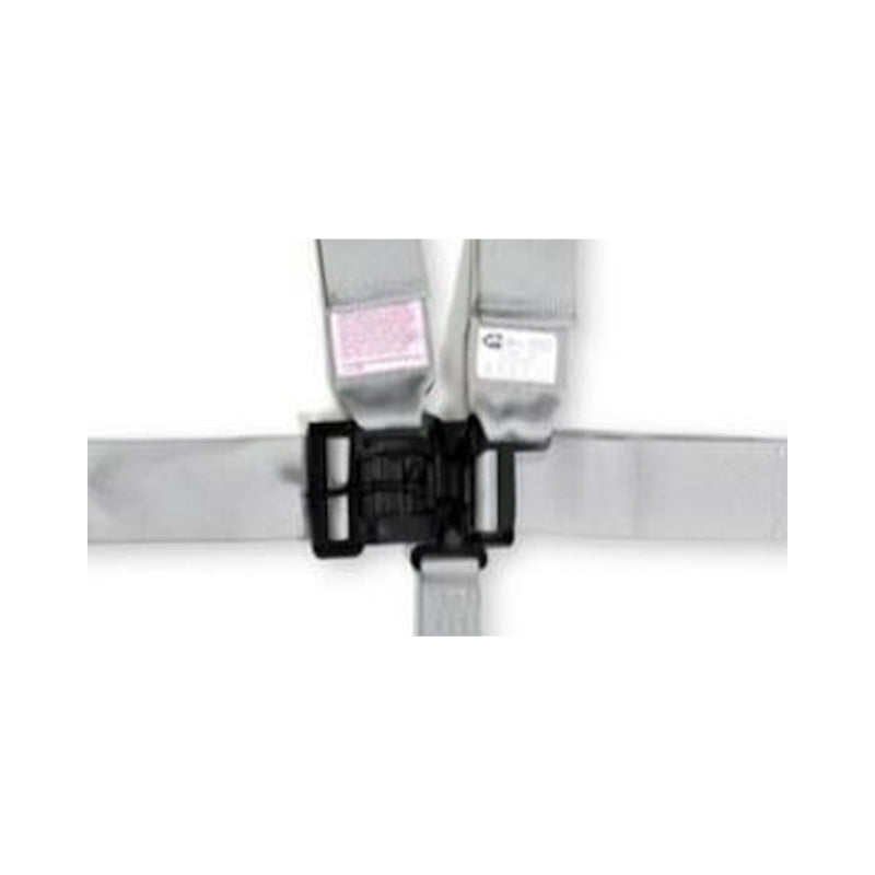 RaceQuip Platinum L & L 5pt Seat Belt