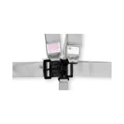RaceQuip Platinum L & L 5pt Seat Belt