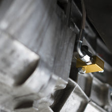 Load image into Gallery viewer, Photo - Primary