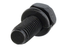 Load image into Gallery viewer, Photo - Unmounted