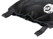 Load image into Gallery viewer, Photo - Unmounted