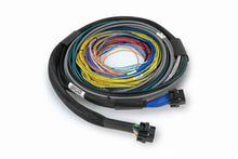 Load image into Gallery viewer, Haltech NEXUS S2/S3 Universal Wire-In Harness Kit - 2.5M (8ft)