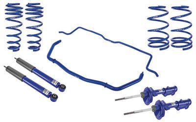 Roush 2005-2010 Ford Mustang 4.6L V8 Stage 2 Suspension Kit, performance car parts by DTX Performance, racing suspension upgrades.