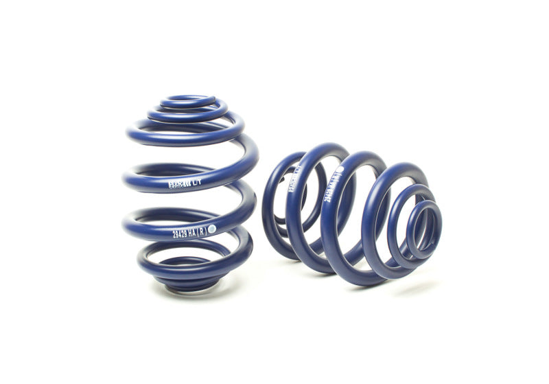 H&R 94-03 Volkswagen Eurovan T4 Sport Spring - DTX Performance