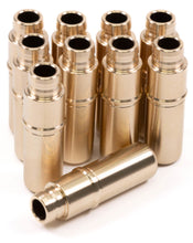 Load image into Gallery viewer, User 1