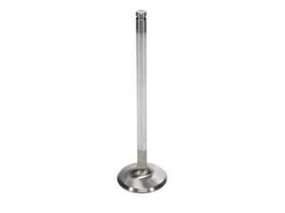 Manley up to 2010 Dodge Viper V-10 1.600 Dia Race Master Exhaust Valves by DTX Performance