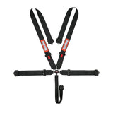 RaceQuip Black SFI CAMLOCK 5pt PD Lap Seat Belt
