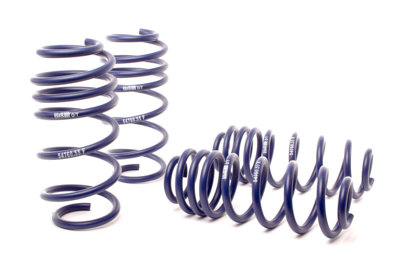 H&R 12-15 Volkswagen Passat Sedan 2.5L/1.8T/TDI/V6 OE Sport Spring (Non 4Motion) - DTX Performance