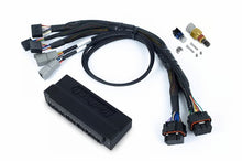 Load image into Gallery viewer, Haltech NEXUS S2/S3 Plug-n-Play Adapter Harness from DTX Performance, ideal for performance upgrades and tuning enhancements.
