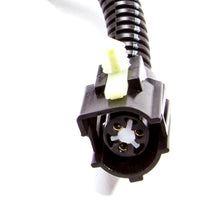 Load image into Gallery viewer, Photo - Unmounted