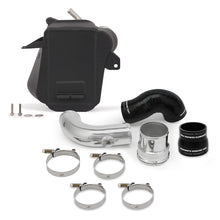 Load image into Gallery viewer, Photo - Primary