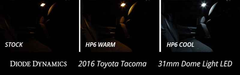 Diode Dynamics 31mm HP6 LED Bulb LED - Cool - White (Single)