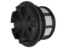 Load image into Gallery viewer, Photo - Unmounted