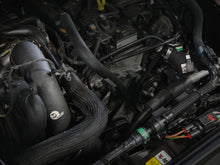 Load image into Gallery viewer, Photo - Mounted