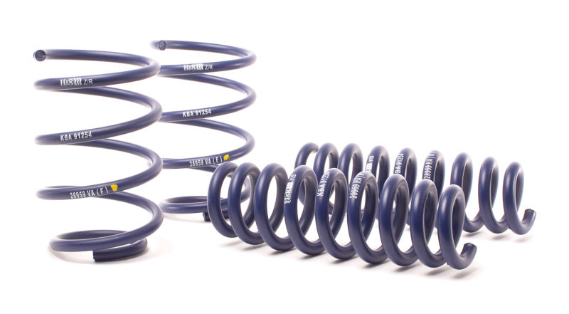 H&R 13-15 BMW X1 sDrive28i E84 Sport Spring (2WD Only) - DTX Performance