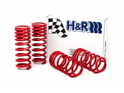 H&R 94-95 Ford Mustang/Mustang Cobra V8 Race Spring, high performance car parts by DTX Performance, tuning upgrades, racing suspension