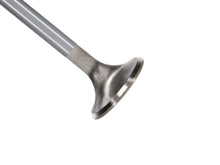 Load image into Gallery viewer, Manley Ford Modular Coyote 5.0L Gen III Race Master Series Exhaust Valve Set - 1.260in Dia