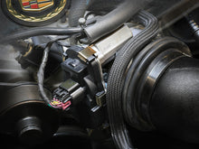 Load image into Gallery viewer, Photo - Mounted