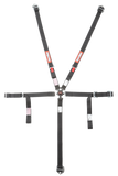 RaceQuip Black JR. CAMLOCK 5pt Seat Belt