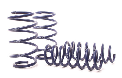 H&R 11-17 BMW X3 F25 Sport Spring set for performance upgrades, DTX Performance, veteran-owned shop, suspension kits, high performance parts