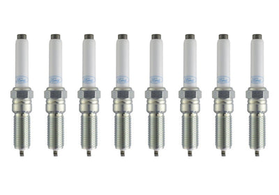 Ford Racing 21-25 F-150 5.0L Coyote Cold Spark Plug Set