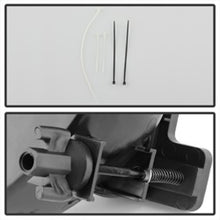 Load image into Gallery viewer, Photo - Unmounted