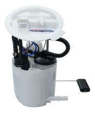 Load image into Gallery viewer, Photo - Primary