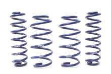 Load image into Gallery viewer, H&amp;R 19-25 Toyota RAV4 (not Incl. Hybrid) Adventure Raising Spring