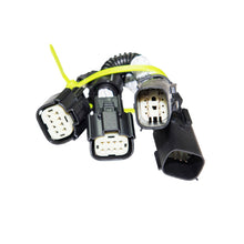 Load image into Gallery viewer, Photo - Primary