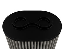 Load image into Gallery viewer, Photo - Close Up